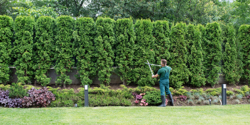 Lawn Care in Sidney, Ohio